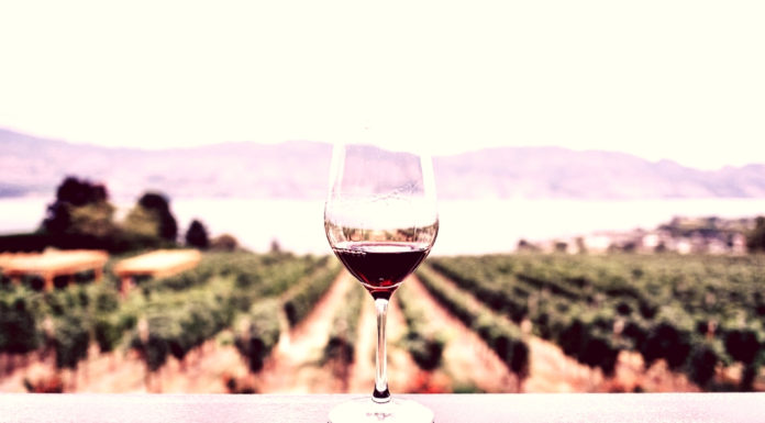 Le strade del vino, cantine e storie d’Umbria