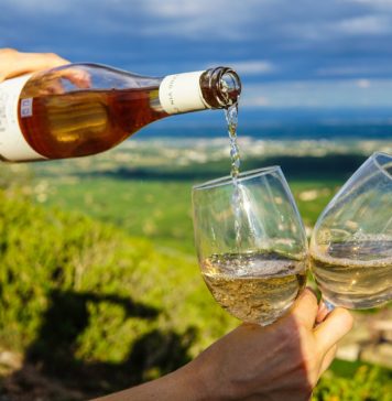 Speciale Trend, YOGA e VINO: la degustazione diventa viaggio sensoriale