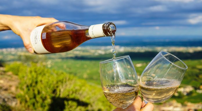 Speciale Trend, YOGA e VINO: la degustazione diventa viaggio sensoriale