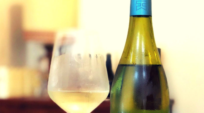 MARCHE WINE EXPERIENCE: Verdicchio dei Castelli di Jesi