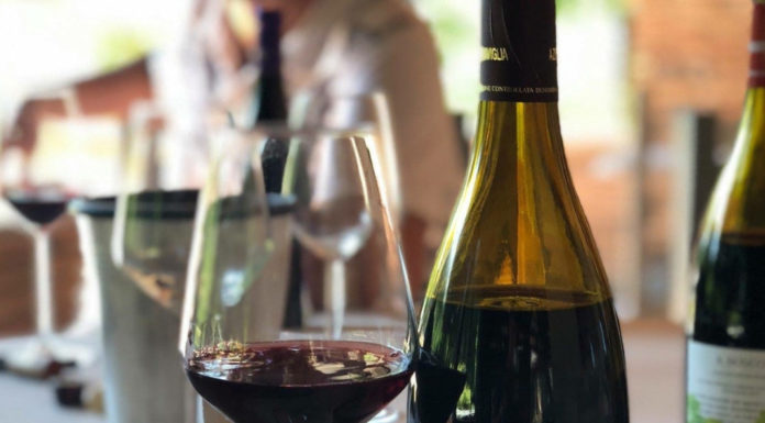 MARCHE WINE EXPERIENCE: Verdicchio di Matelica