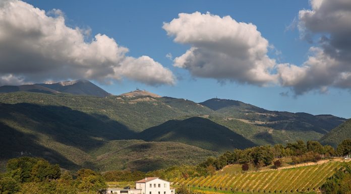 LAZIO WINE EXPERIENCE: i vini del reatino