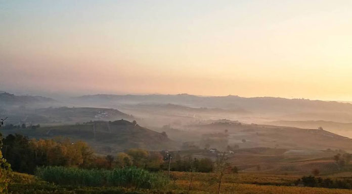 PIEMONTE WINE EXPERIENCE: i vini delle Langhe