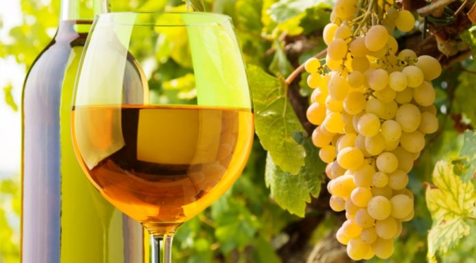 VIGNAIOLI NATURALI 2019 a Roma