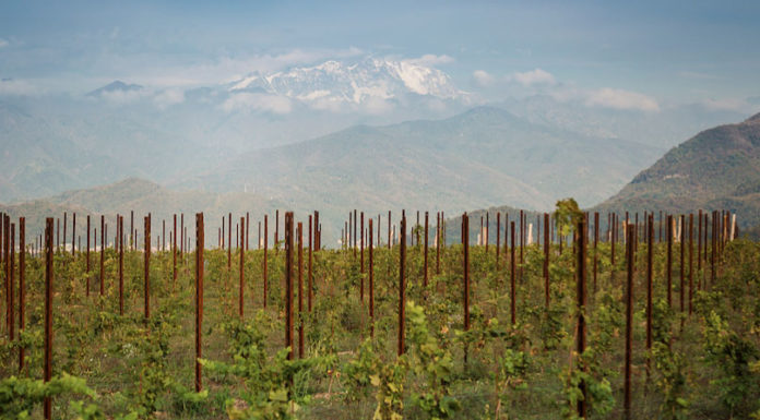 BARBAGLIA. Il VINO ai piedi del Monte Rosa