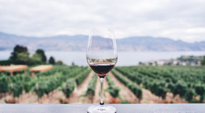 VINOWAY Wine Selection 2019 in Salento