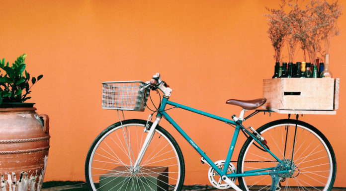NIZZA E’ BARBERA: in bici tra i vigneti