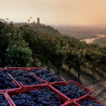 Barbaresco Langhe