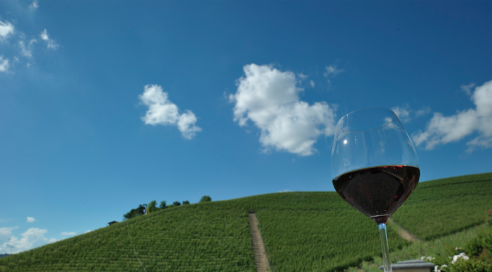 COLLISIONI 2019: Progetto WINE e FOOD. Il programma.