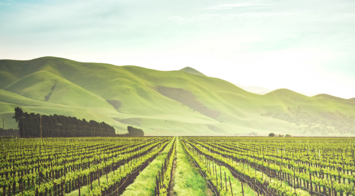 La HALL OF FAME del VINO ITALIANO a Barolo