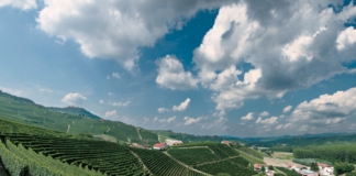 Un’estate fra le colline piemontesti. Tra VINO, MUSICA e SPORT