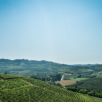 Langhe Paesaggio