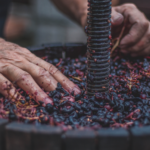 Wine