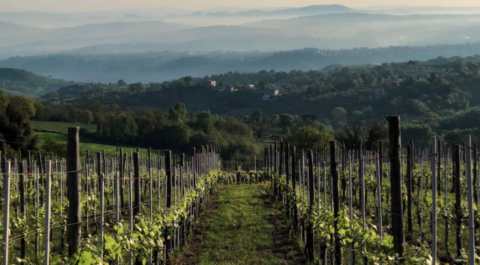 FIANO LOVE FEST 2019. Il Festival enogastronomico di Lapio