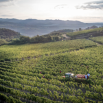 Vallepicciola Chianti