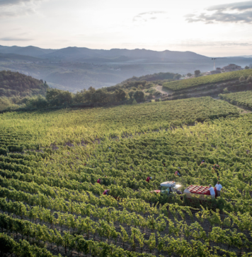 Winery Tasting Jazz a VALLEPICCIOLA