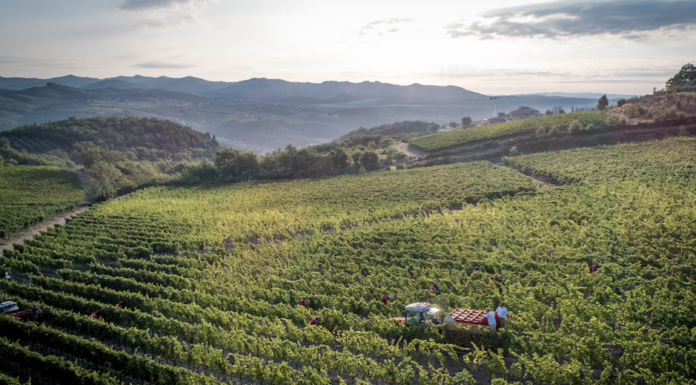 Winery Tasting Jazz a VALLEPICCIOLA