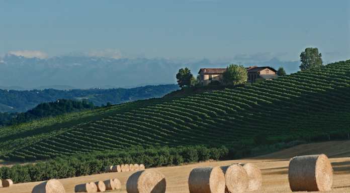 VITIS 2019: la celebrazione dei vini bianchi del ROERO