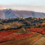 Sagrantino Sotto le Stelle