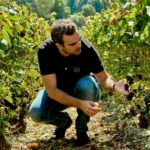 Terroir-min