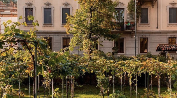 Riapre LA VIGNA DI LEONARDO a Milano: colazione e apertivo al museo