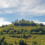Franciacorta