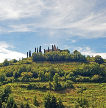 FRANCIACORTA: tornano le visite in cantina in piena sicurezza
