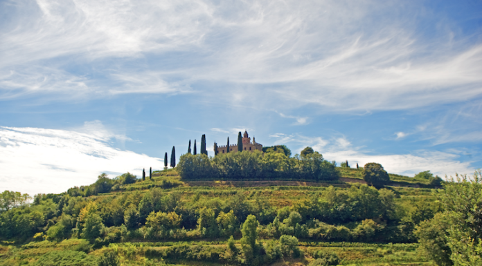 FRANCIACORTA: tornano le visite in cantina in piena sicurezza