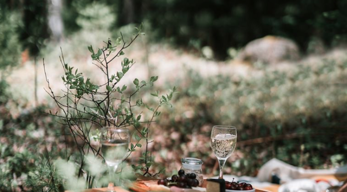 FEUDI DI SAN GREGORIO: un picninc gourmet immersi nel verde