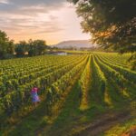 1 Franciacorta©Visit Brescia ph. Michele Rossetti