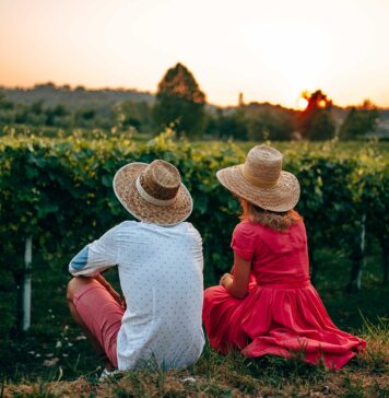 VISIT BRESCIA: un territorio diVino