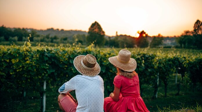 VISIT BRESCIA: un territorio diVino