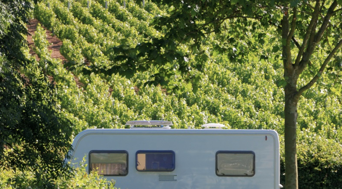 Con il CAMPER in VIGNA: una notte tra i filari durante la venedemmia