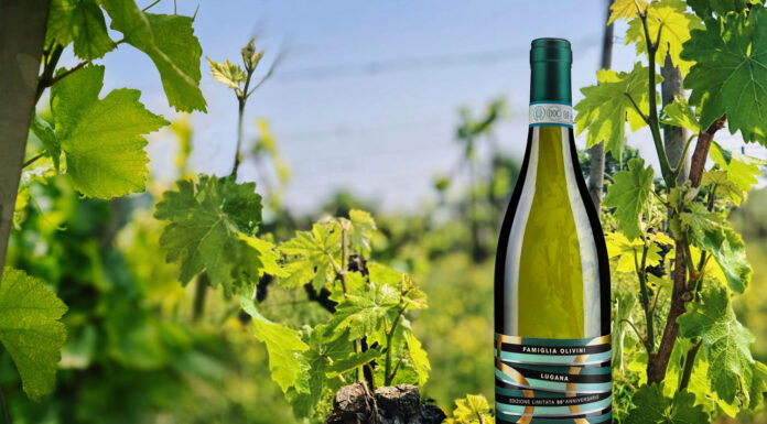 FAMIGLIA OLIVINI: un vino in edizione limitata per i 50 anni della cantina