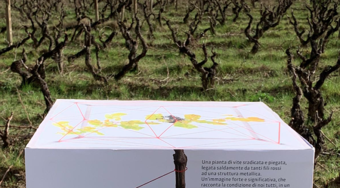 Un PACCO SOLIDALE per la RIPARTENZA: le aziende del vino accanto alla ristorazione