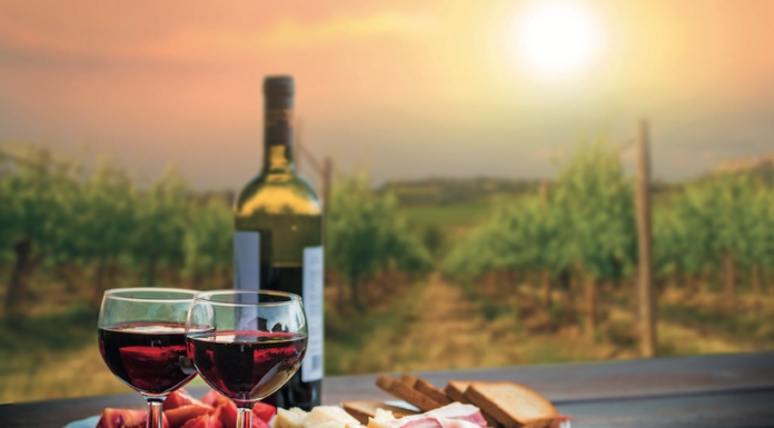 Un master sull’ENOTURISMO per i nuovi manager delle wine destination d’Italia