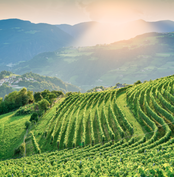 CANTINA VALLE ISARCO: per i 60 anni arriva Cotarella