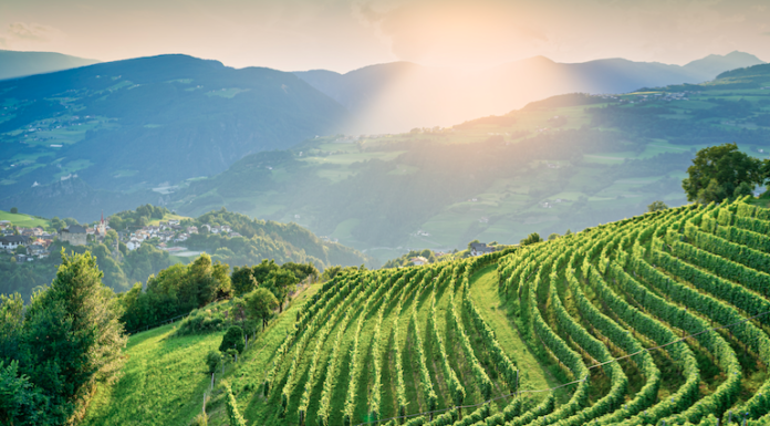 CANTINA VALLE ISARCO: per i 60 anni arriva Cotarella