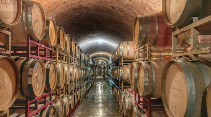 Ecco il calendario 2021 del MOVIMENTO TURISMO DEL VINO: cantine e vigneti aperti in sicurezza