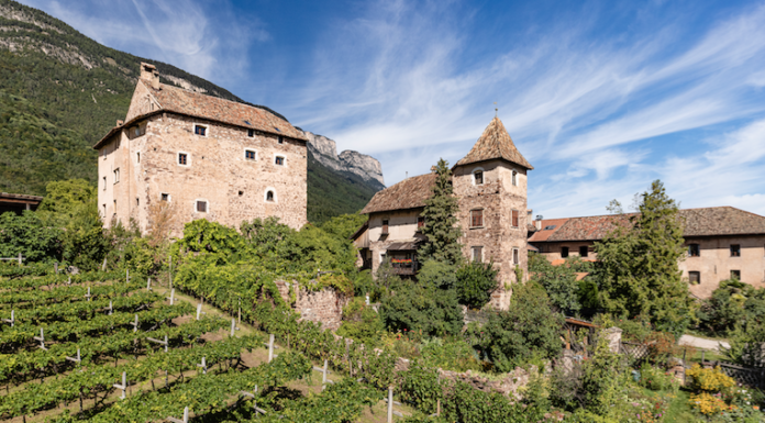 Cantina SAN MICHELE APPIANO: ecco come superare la crisi