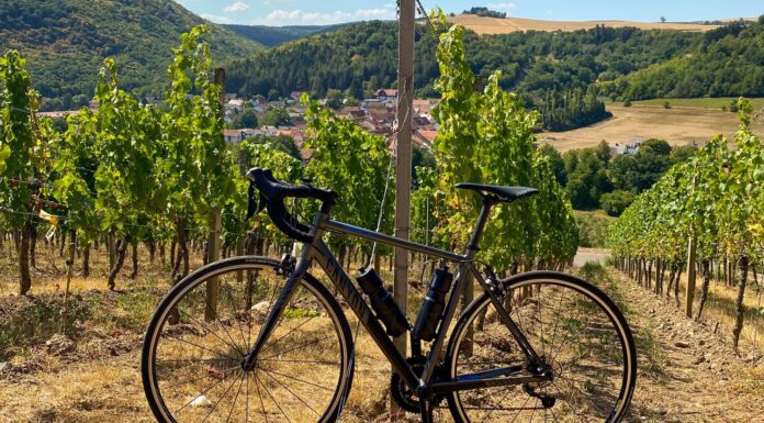 CANTINE BIKE FRIENDLY: un nuovo progetto per il ‘turismo slow’ del vino