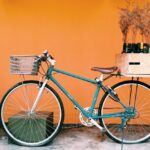 sagar-rana-bFDdb5Yl_-w-unsplash