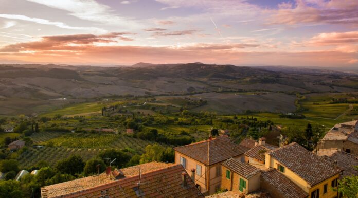 VINO NOBILE DI MONTEPULCIANO: al via la prima vendemmia delle ‘Pievi’