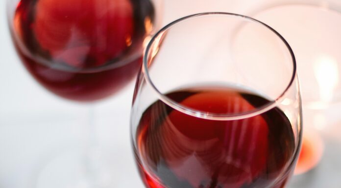 Guida VINI D’ITALIA 2022 by Gambero Rosso: ecco i migliori vini italiani