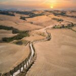 doozydoom-VqUTebphlwE-unsplash