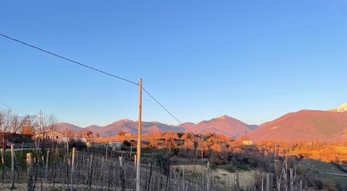 CANTINA LE MACCHIE: Rieti nel bicchiere