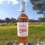 tacco-rosa-negroamaro-rosato-igp-salento-Dario-Stefano-1-scaled-e1615837816157
