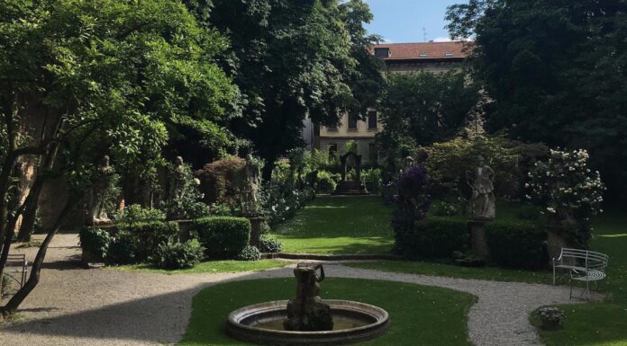 La rinascita della VIGNA DI LEONARDO DA VINCI nel centro di Milano