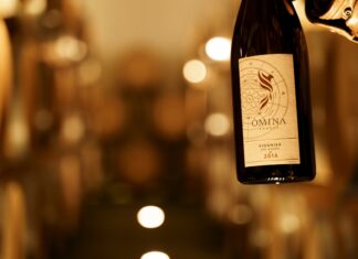 ÔMINA ROMANA: Mr. Anton F. Börner tribute to the history of viticulture in Velletri