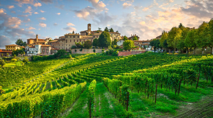 BORGO DIVINO in tour 2022: la tappa di Neive